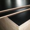 Buy cheap Factory direct sale black and brown film faced plywood, cheap concrete shuttering plywood from wholesalers