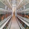 Buy cheap Poultry Farming Battery Chicken Cage H Type Fully Automatic For 50000 Egg Layer Hens from wholesalers
