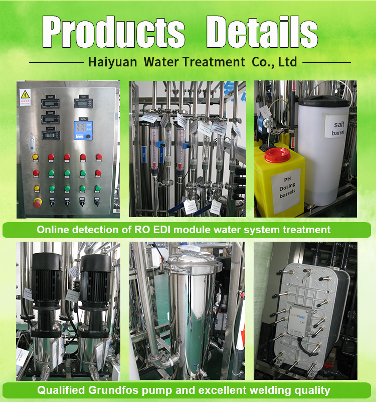 RO EDI Water Treatment System HYDRANAUTICS Membrane 60HZz Auto Control