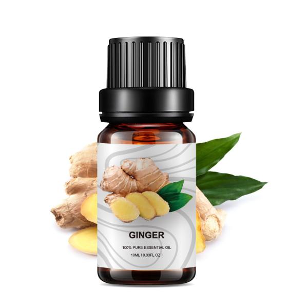 Buy cheap Massage Ginger OEM Essential Oil Weight Loss 100% Natural JIANFENG from wholesalers