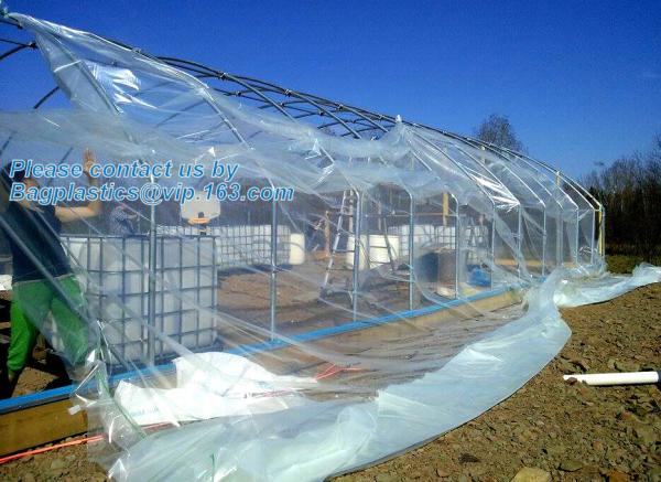 Buy cheap plastic film agriculture greenhouse,6 mil poly anti-uv plastic greenhouse film,Anti-fog UV resistant,mushroom,TOMATO PAC from wholesalers