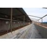 Buy cheap Hot / Cold Rolled Galvanized Clearspan Steel Framing Systems With H Shapes Column from wholesalers