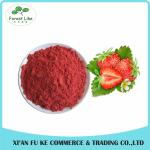 Food Ingredients Freeze Dried Strawberry Fruit Powder from China