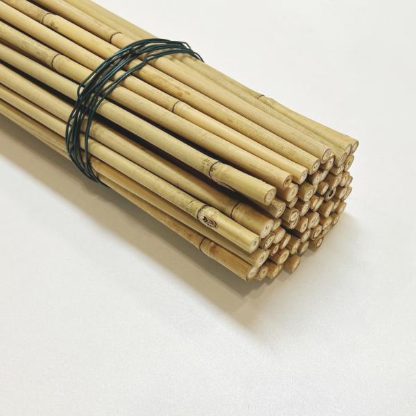 Eco-Friendly Bamboo Poles Toamto Beans Potted Plants for Indoor and Outdoor