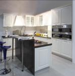Paint Door Finish Solid Wood Kitchen Cabinets Solid Wood Material Blum / Dtc