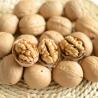 Buy cheap Delicious Carpathian Walnuts The Ideal Ingredient for Your Content from wholesalers
