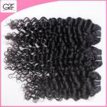 Beauty Hair for Black Women Grade 8A Queen Kinky Curly Hair Brazillian Virgin