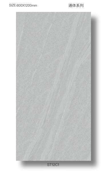 Outdoor Floor Durable 60x120cm Full Body Porcelain Decoration Tiles For Terrace
