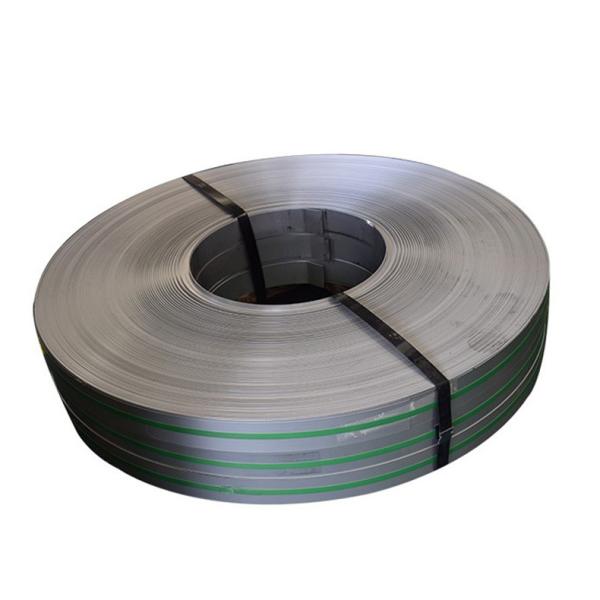 Cold Rolled SUS 304 309s 316 Stainless Steel Strip Belt 310S 316L Stainless