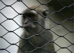 Recyclable Stainless Steel Woven Wire Mesh 30x30mm For Bird Cages 7x19