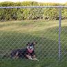 Buy cheap Black PVC coated Chain Wire Mesh Fence 1.2m high x 15m long 3.5mm Cyclone Link from wholesalers