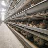 Buy cheap H Type Chicken Poultry Cage Coops Automatic Battery Cages from wholesalers