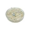 Buy cheap Medicinal Pure Chitosan Powder Pharmaceutical Intermediates CAS 9012-76-4 from wholesalers