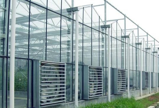 Hydroponics Stromal Humidity Control Multi-Span Seedling Glass Greenhouse