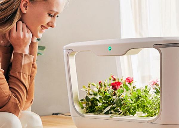 Buy cheap Vertical 15pcs Plant 24V PVC Garden Smart Hydroponics from wholesalers