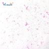 Buy cheap Biology Division Medical Student 13pcs Square Microscope Slides from wholesalers