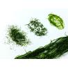 Buy cheap Mineral-Dense 280g Envy Green Ulva Prolifera Homemade Seasoning Salt from wholesalers