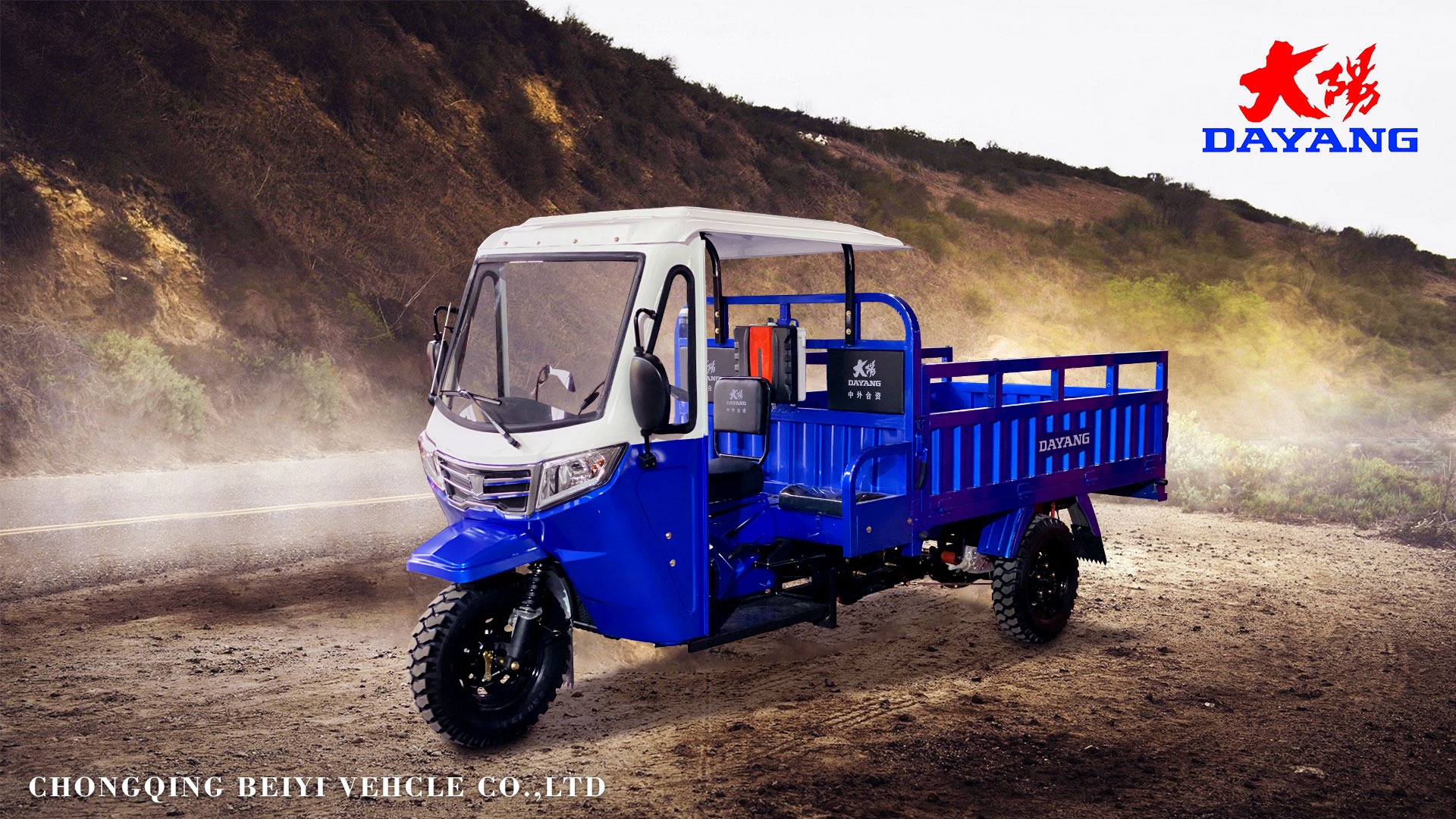 5.0-12 Tire Size DAYANG Heavy Duty Petrol Cargo Cabin Motor Tricycle for Global Market