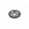 Buy cheap 07 - 09 Nissan Sentra Altima Frontier 2.5L DOHC Timing Chain Kit Qr25De from wholesalers
