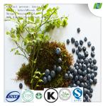 Buy cheap Bilberry Extract for eye health from wholesalers