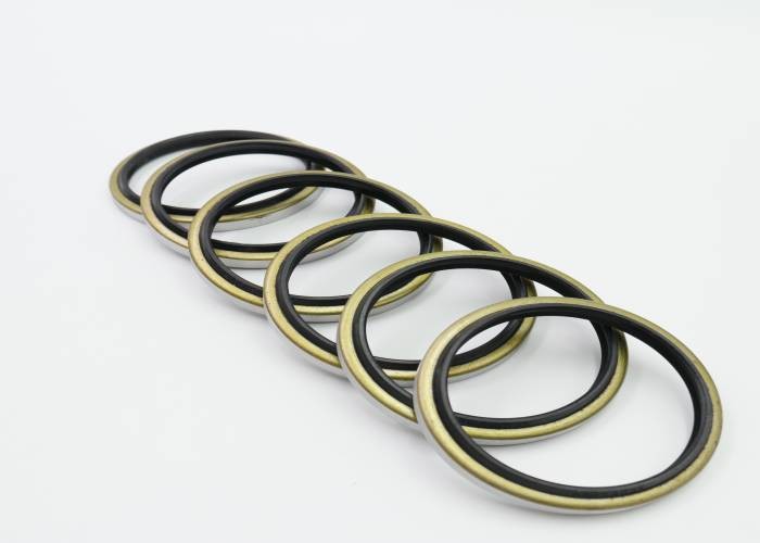 DBK Excavator Spare Parts NBR Material Black Hydraulic Oil Seal