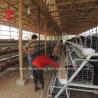 Buy cheap 3 Or 4 Tiers Poultry Chicken Layer Cage A Type Q 235 Steel Wire Star from wholesalers