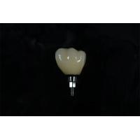 Buy cheap Cylindrical Titanium Zirconia Screw Retained Dental Implant Natural Looking product