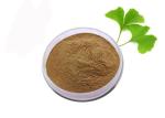 Medical Grade Anti Oxidant Pure Ginkgo Biloba Extract Powder
