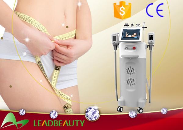 Buy cheap 2016 fat freezing body machine LB-C5 / cryolipolysis slimming machine on sale from wholesalers