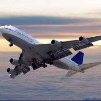 Buy cheap Airport From SHANGHAI NINGBO China To United States Amazon FBA Dropshipping Oder product