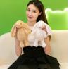 Buy cheap ASTM F963 Certified Unisex Furry Toy Doll Hand Washable with PP Cotton Filling from wholesalers