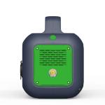 300W Camping Portable Power Station 110V 220V 299.52Wh 20800mAh