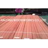 Buy cheap Straight Grain Natural Sliced Sapele Wood Veneer Plywood Sheets from wholesalers