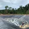 Buy cheap 1.5mm HDPE Geomembrane for Mine Fish Pond Lagoon Lake and Dam Liner Flexible Material from wholesalers