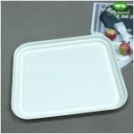 Biodegradable Sugarcane Pulp 3-Compartment Food Box-High Quality Plant Fiber