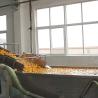 Buy cheap SUS304 Automatic Fruit Processing Equipment Blueberry Washing Machine from wholesalers