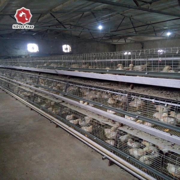 Buy cheap ISO9001 Hot Dipped Cages For Broiler Chicken A Type 61*50*44cm from wholesalers