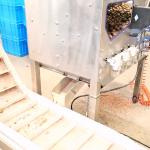220V 100000 Pieces CE Approved Pecan Shelling Machine Up To 2T Output Each Hour