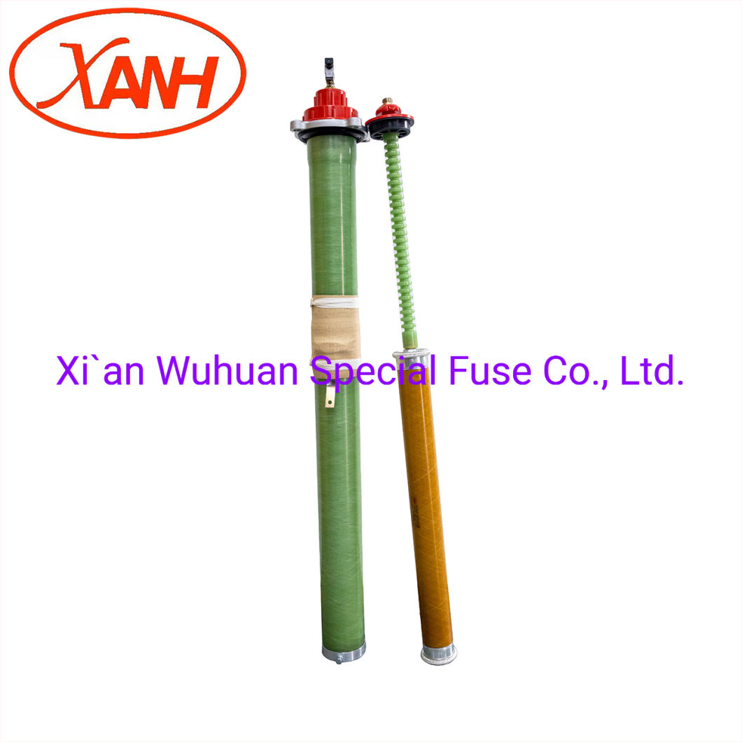 Oil-Immersed Type Transformer Protection High Voltage Limit Current Fuse Back-up Fuse Bay-O-Net Fuse Elsp Fuse Cbuc23065c100