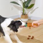Carrot Pet Accessories Animal Shape Indestructible Pet Squeak Dog Pet Toys Dog
