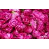 Buy cheap Dried Rose Buds Flower Fruit Tea Flavored Tea For Regulating Menstruation from wholesalers