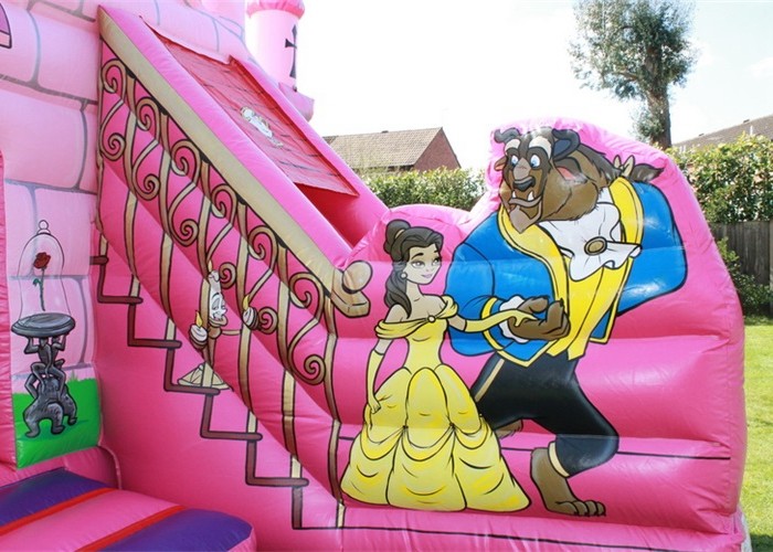 Waterproof 5x4m Inflatable Jumping Castle Customised Birthday Parties Princess Palace