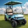 Buy cheap 2 4 6 8 Person 48v Electric Lifted Street Legal Golf Carts Off Road Buggy Electric Club Car from wholesalers