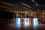 150 degre Gray Rear Projection Film For 3D Holographic Projection Screen