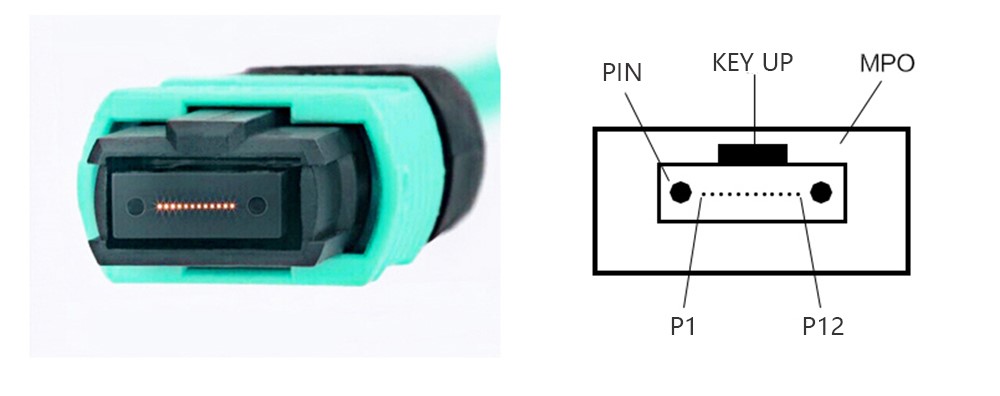 MPO MTP SC LC FC ST Pc Upc Apc OM3 OM4 Fiber Optic Pigtail