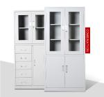 2 Doors Document Storage Cabinets
