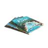 Buy cheap Soft Cover Childrens Book Printing Matt Paper Inner Film / Matt Lamination from wholesalers