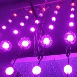 Waterproof LED Christmas Street Lights with 360° Viewing AnglLED Christmas Ball