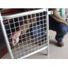 Buy cheap Hot Dipped Galvanized Temporary Site Security Fencing Temporary Mesh Fencing from wholesalers