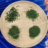 Buy cheap Pure Sea Vegetable Flavorful NORI Aonori Powdered Seaweed Dried For Japanese Cuisine 10kg Pack from wholesalers